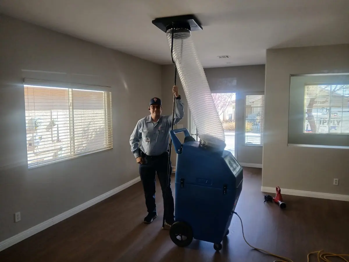 Professional Dryer Vent Cleaning work inside a Derby home